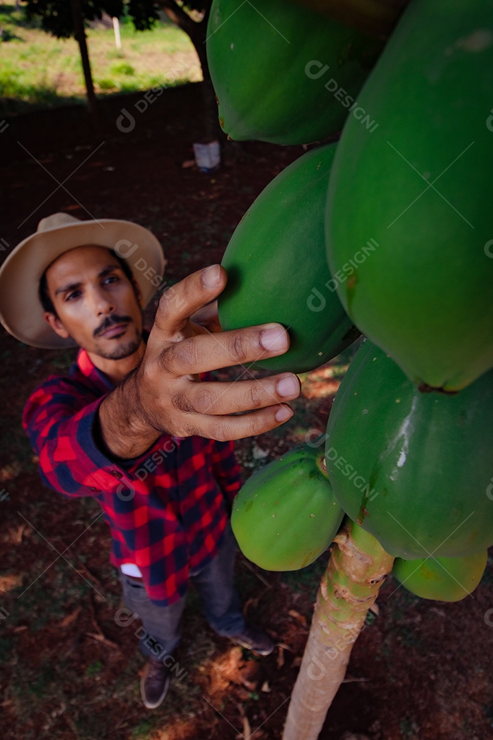 Jovem agricultor negro do sexo masculino trabalhando em frente ao portão dos agricultores.