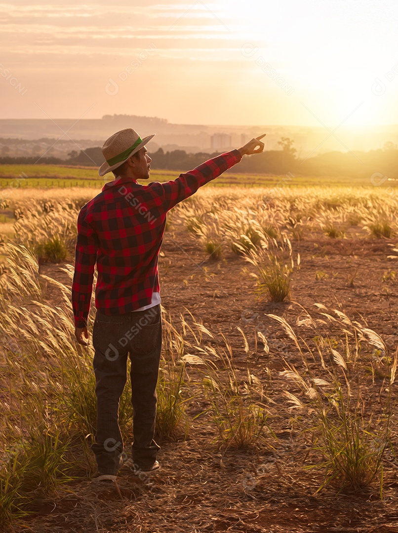 Agricultor com chapéu na plantação agrícola ao pôr do sol. Prédios e cidade desfocaram o fundo.