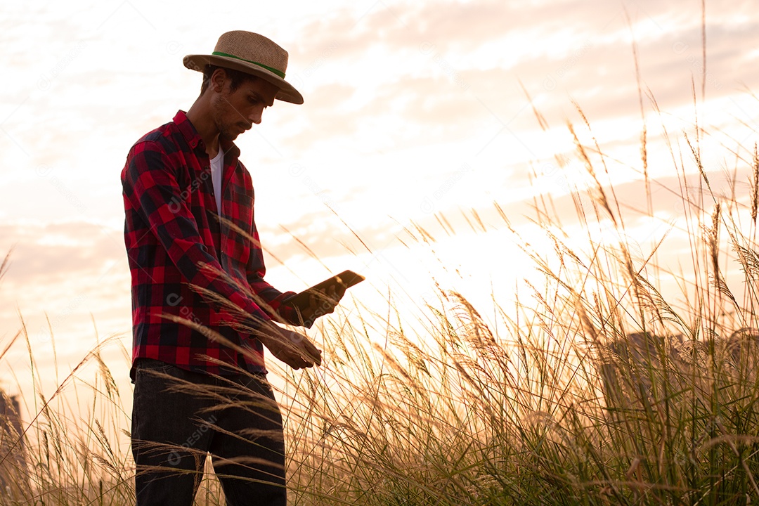 Agricultor de chapéu analisando a plantação ao pôr do sol