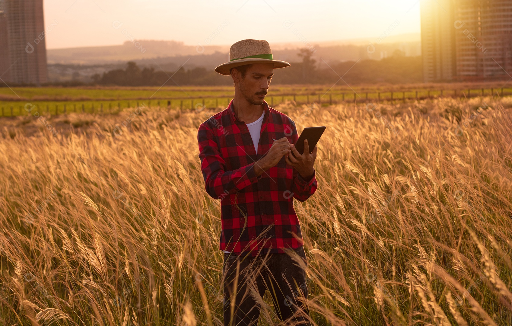 Agricultor com chapéu na plantação agrícola ao pôr do sol. Prédios e cidade desfocaram o fundo.