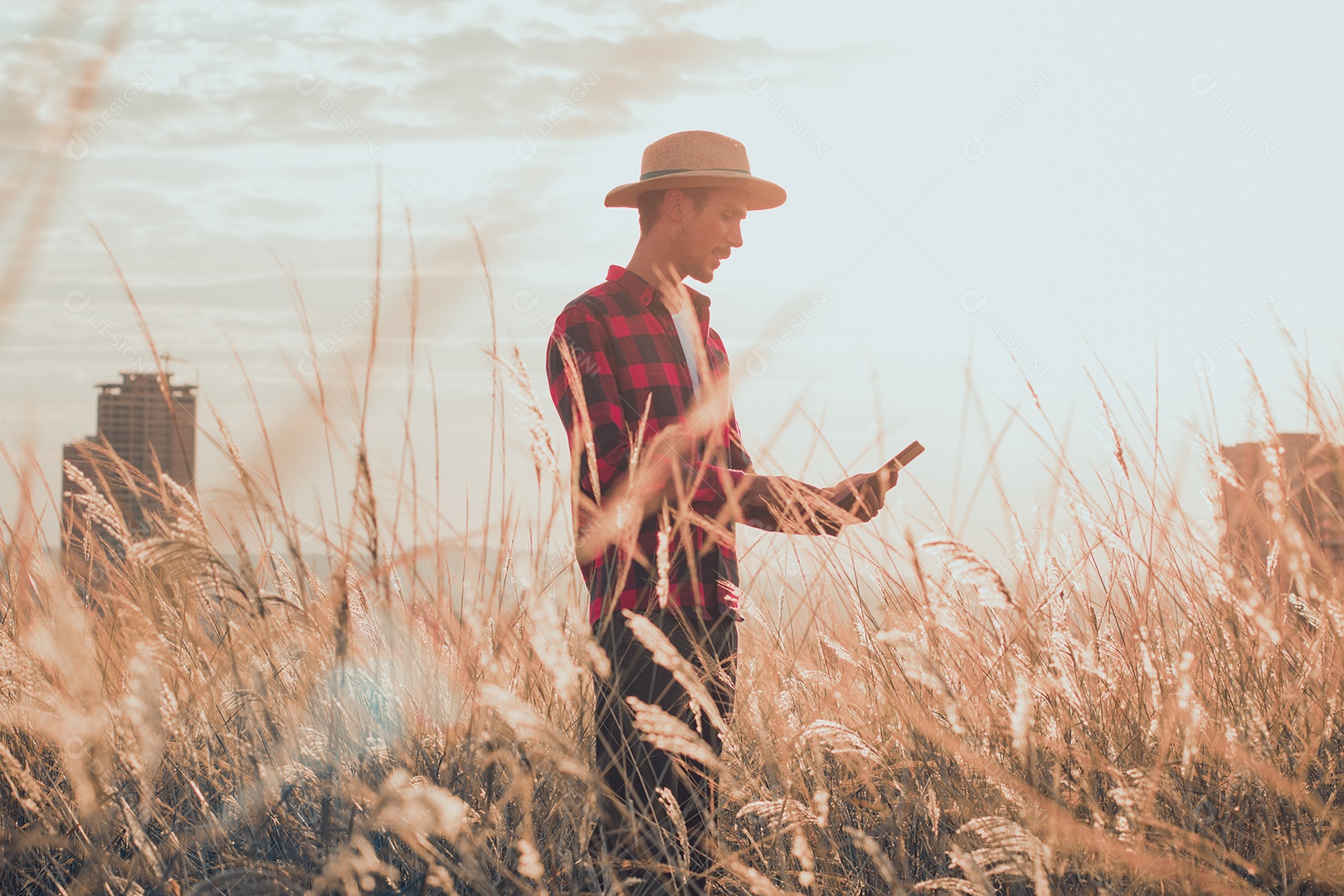 Agricultor com chapéu na plantação agrícola ao pôr do sol. Prédios e cidade desfocaram o fundo.