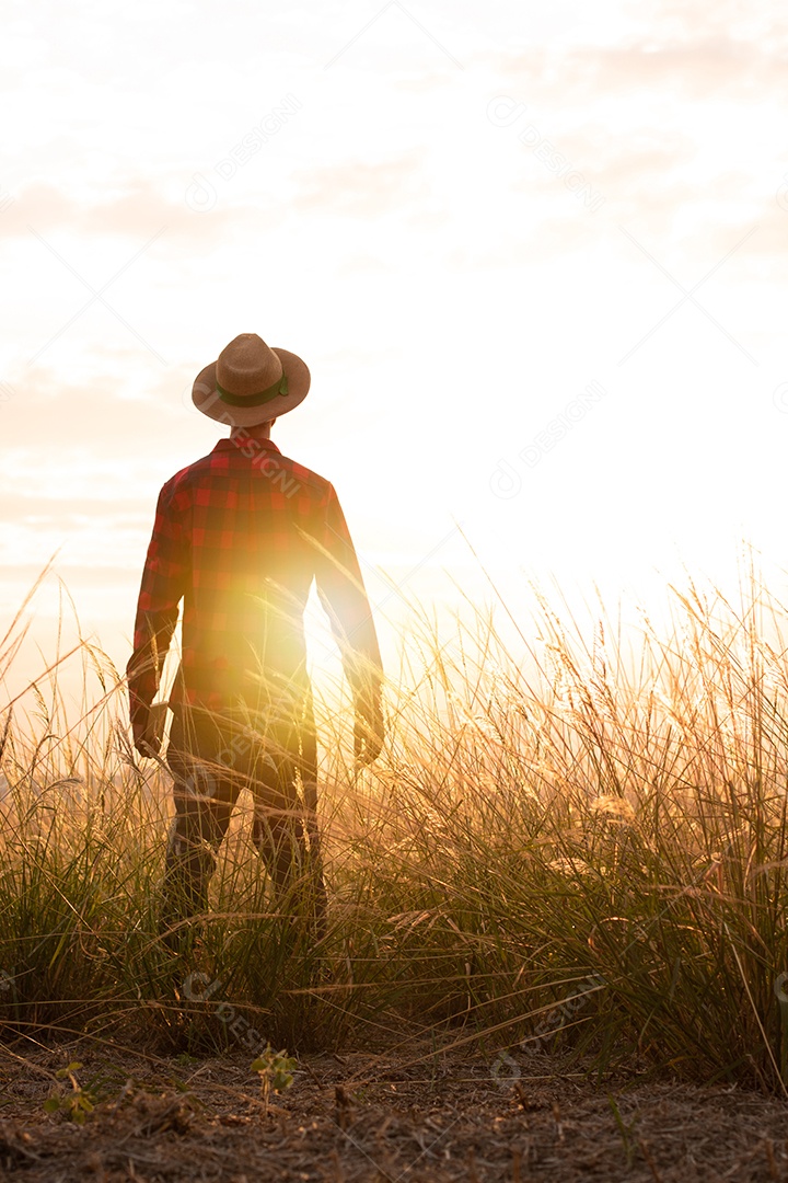 Agricultor com chapéu na plantação agrícola ao pôr do sol. Prédios e cidade desfocaram o fundo.