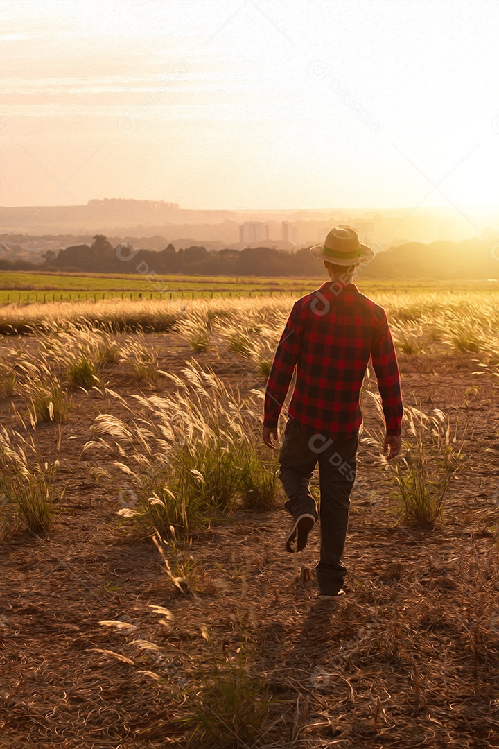 Agricultor com chapéu na plantação agrícola ao pôr do sol. Prédios e cidade desfocaram o fundo.