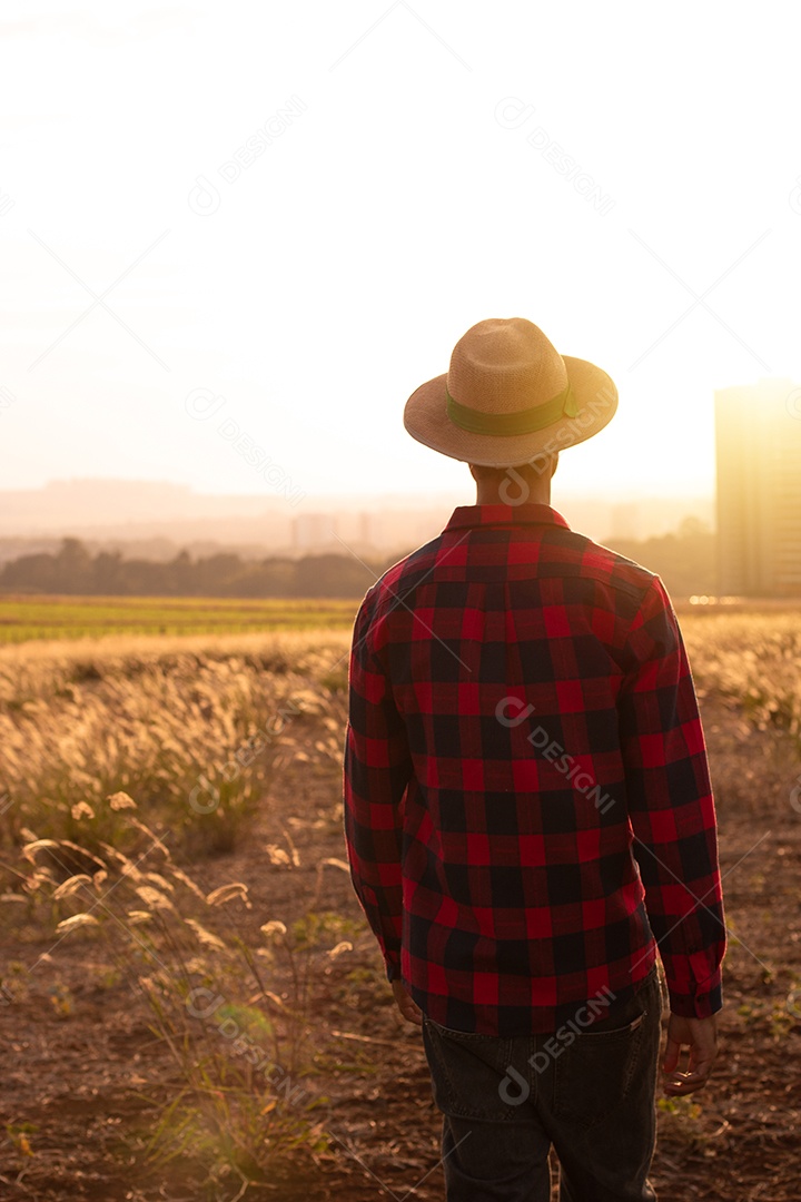 Agricultor com chapéu na plantação agrícola ao pôr do sol. Prédios e cidade desfocaram o fundo.