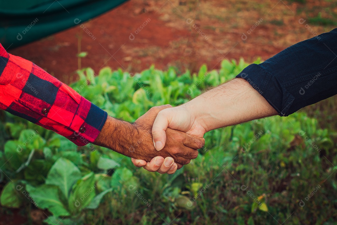 Agricultor e cliente de aperto de mão, plantação no fundo