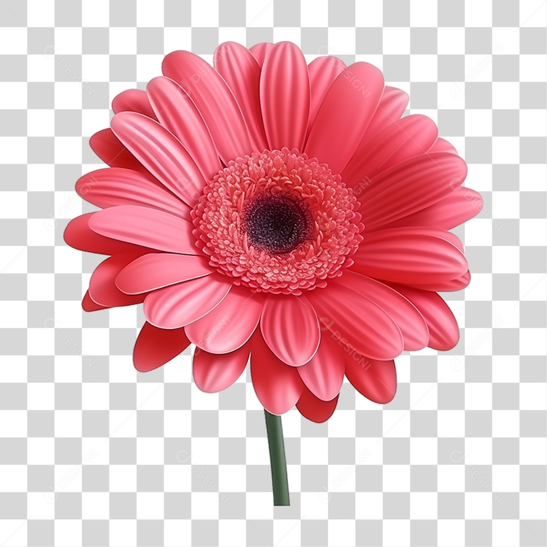 Flor Rosa Flores PNG Transparente