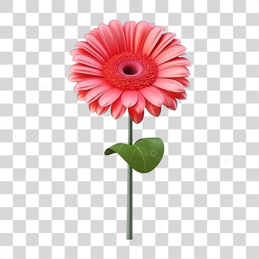 Flor Rosa Flores PNG Transparente