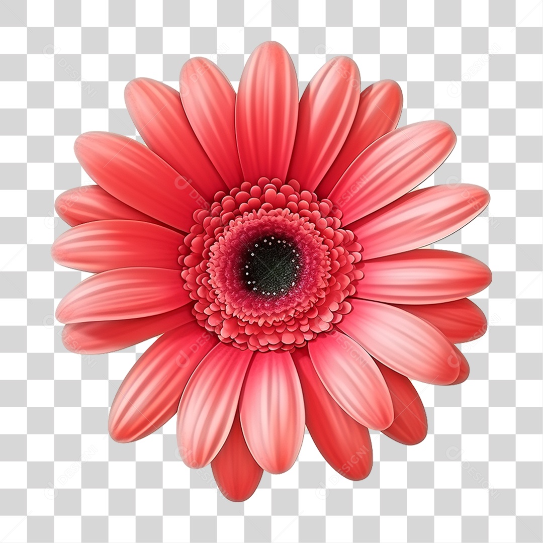 Flor Rosa Flores PNG Transparente