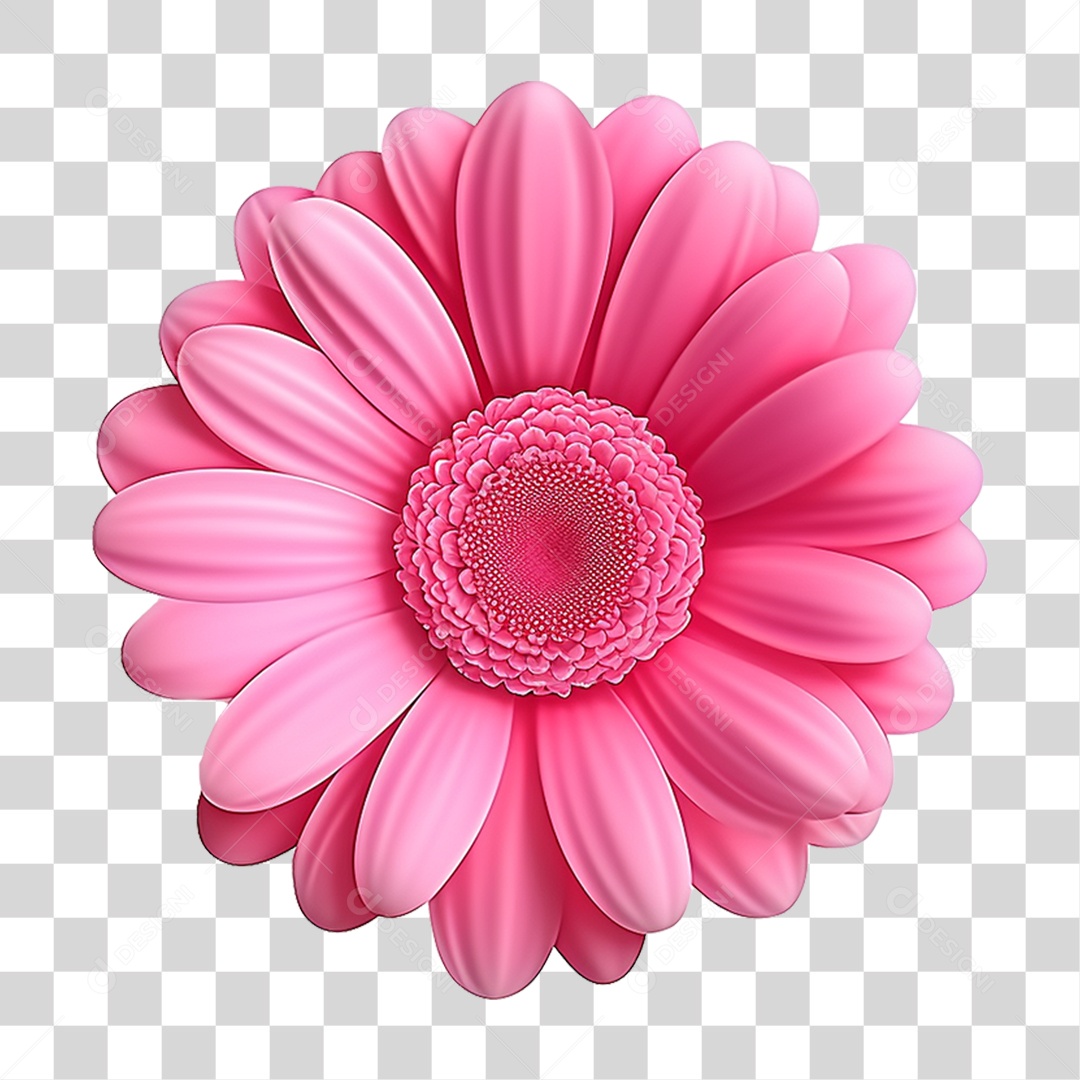 Flor Rosa Flores PNG Transparente