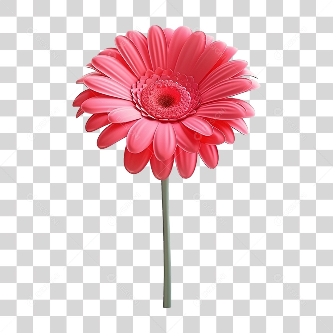 Flor Rosa Flores PNG Transparente