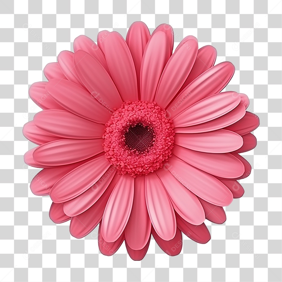 Flor Rosa Flores PNG Transparente