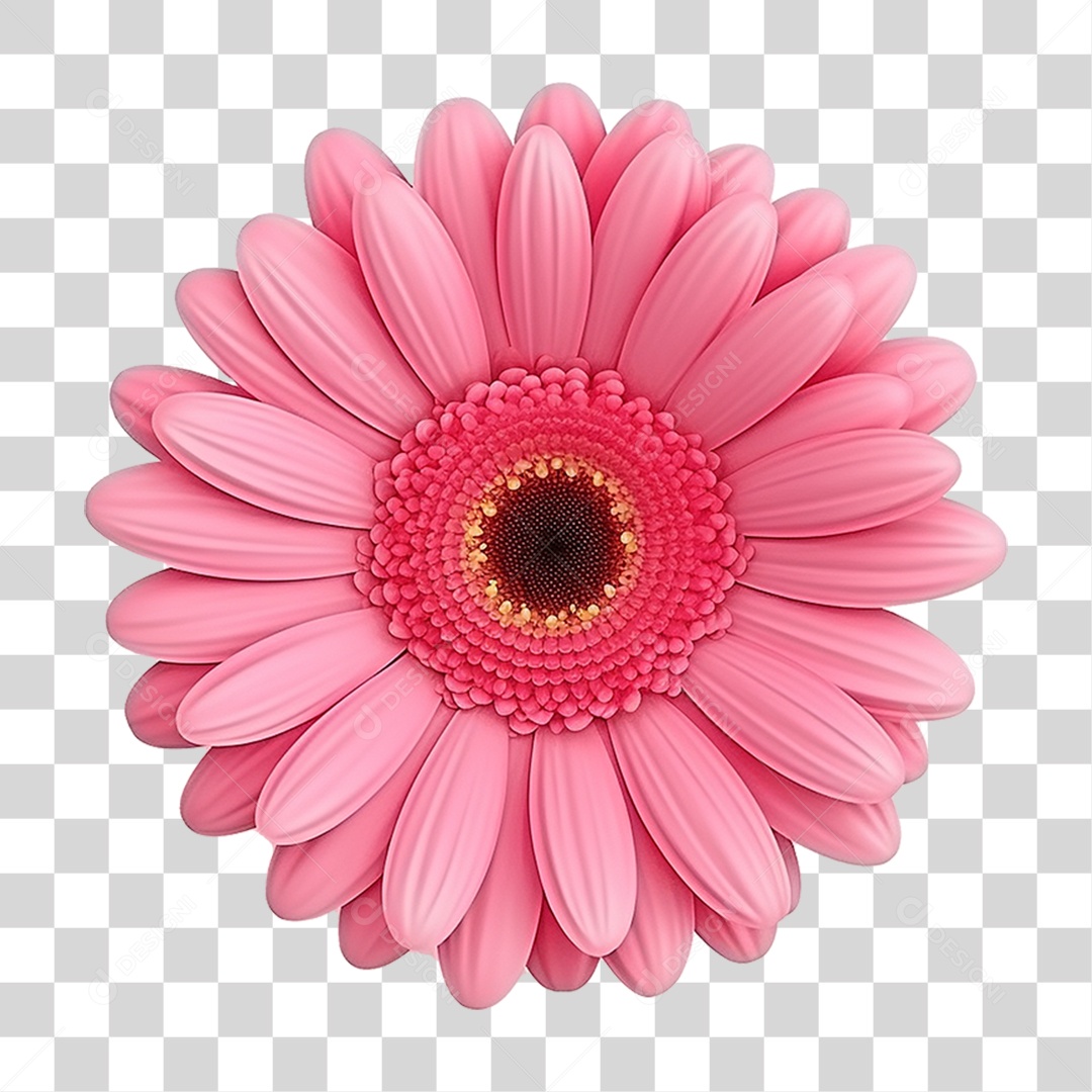 Flor Rosa Flores PNG Transparente