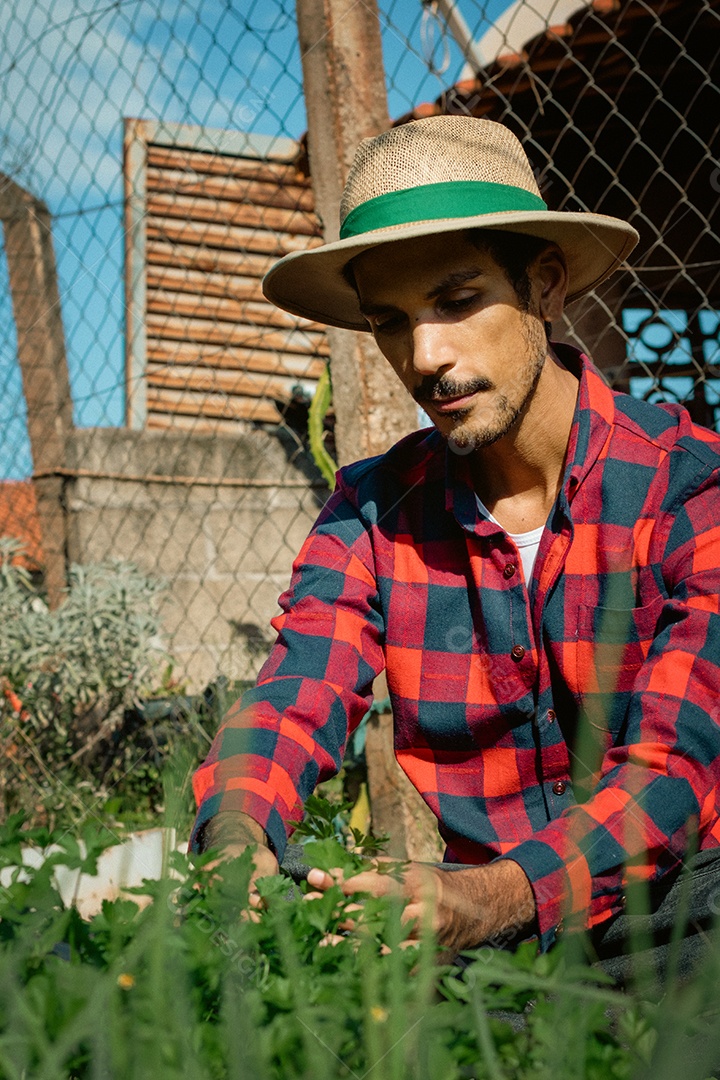 Agricultor de chapéu analisando a plantação ao pôr do sol