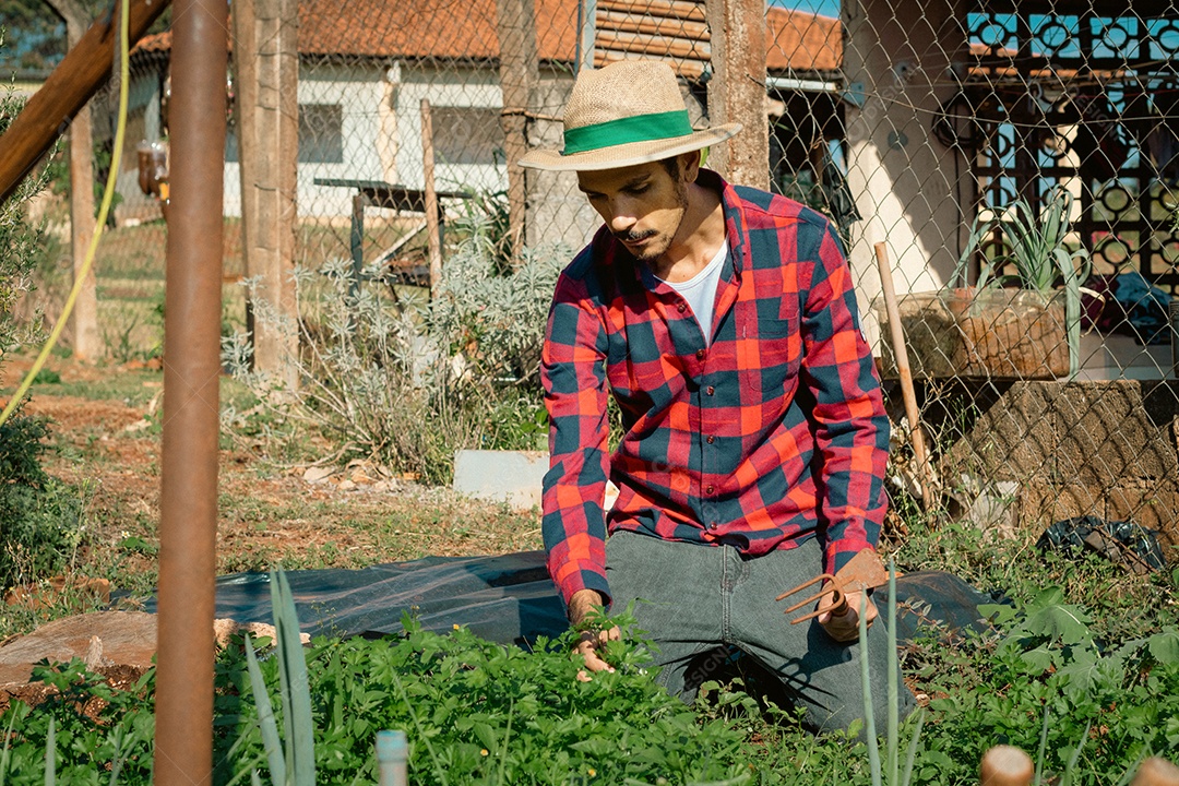 Agricultor de chapéu analisando a plantação ao pôr do sol