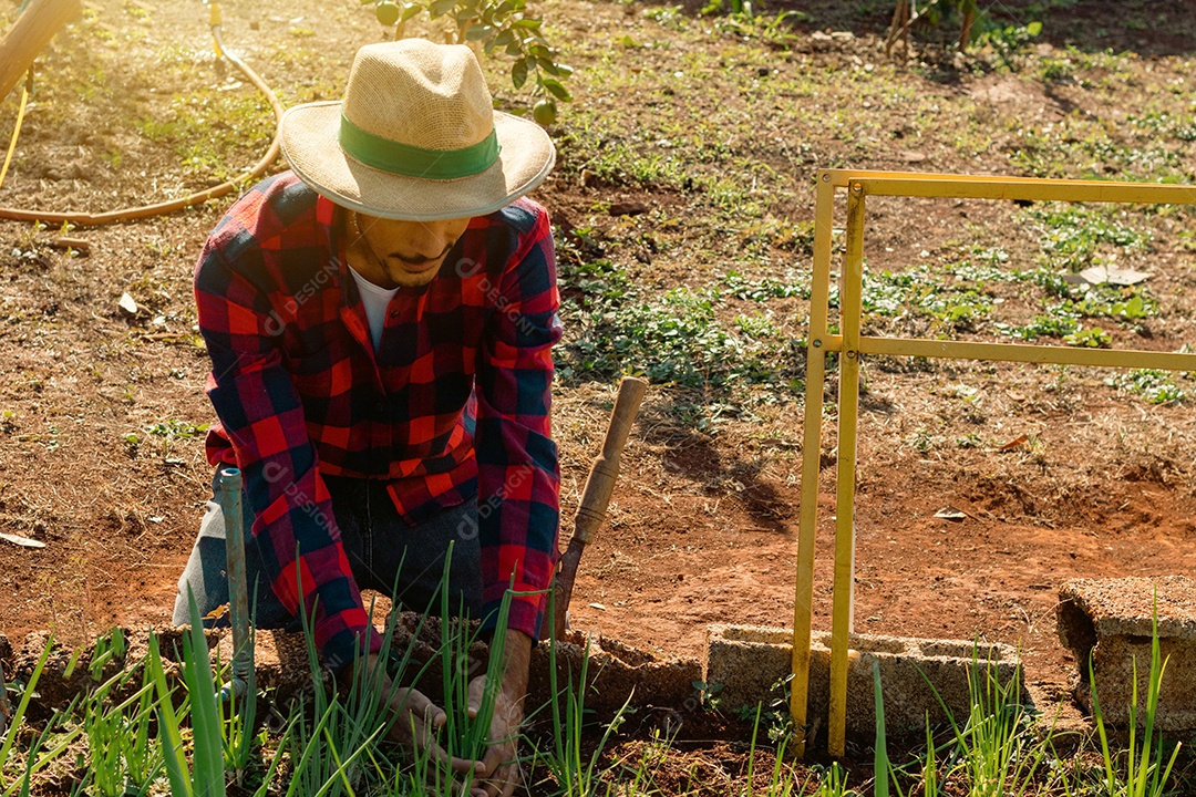 Agricultor de chapéu analisando a plantação ao pôr do sol