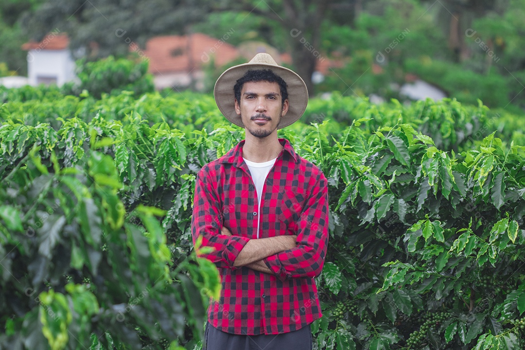 Agricultor masculino segurando café maduro