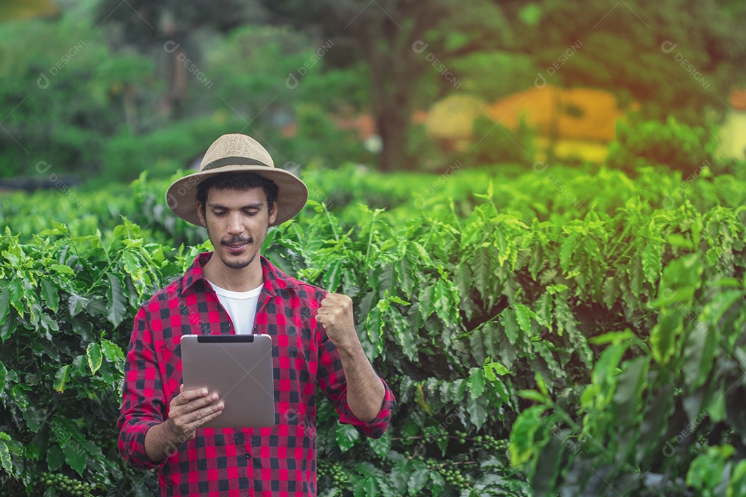 Agricultor masculino segurando café maduro