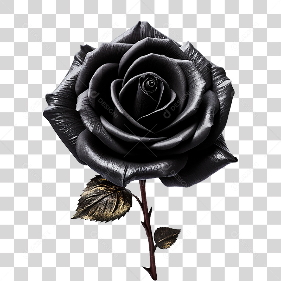 Rosa Preta PNG Transparente