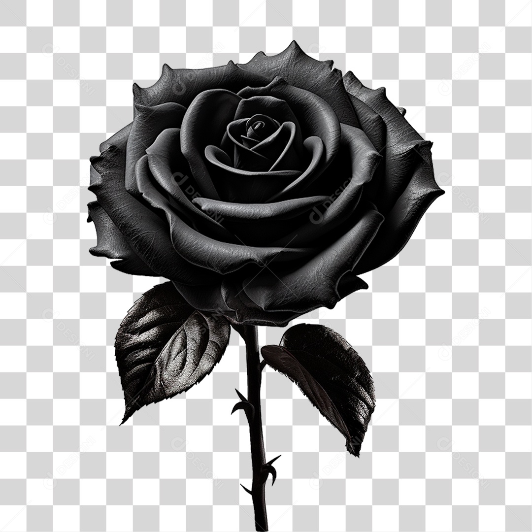 Rosa Preta PNG Transparente