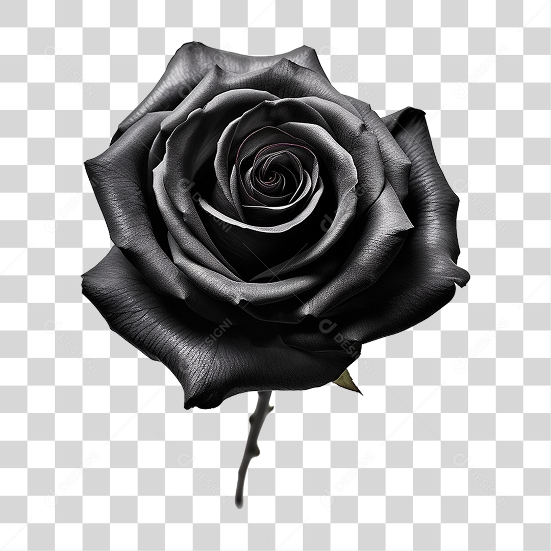 Rosa Negra PNG Transparente