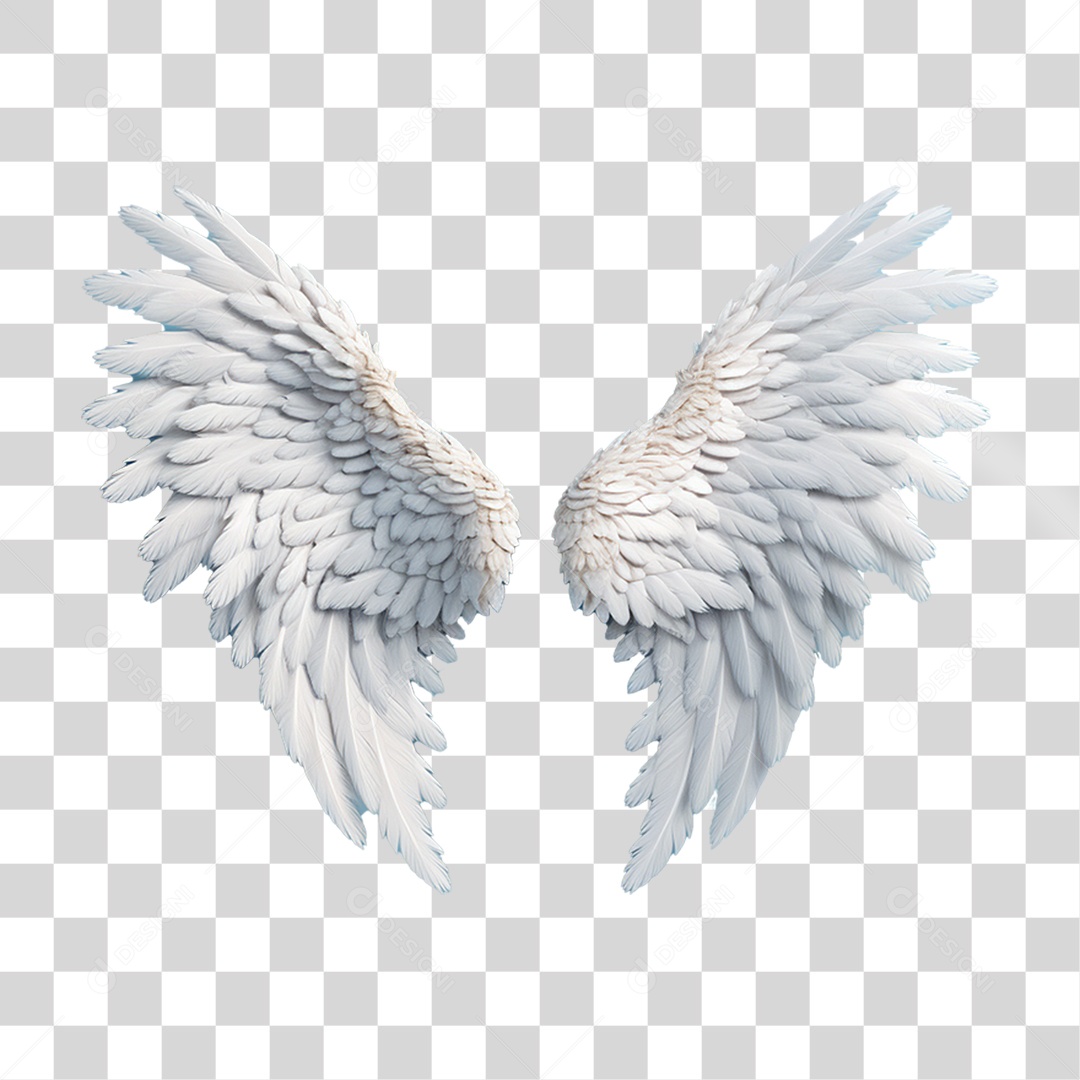 Elemento 3D Asa Branca PNG Transparente