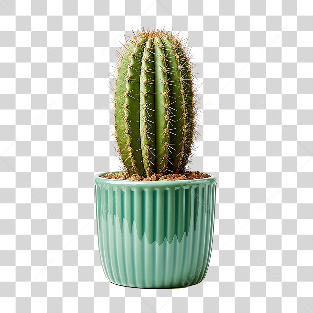Cactos em Vaso PNG Transparente