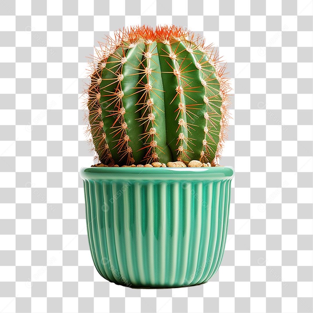 Cactos em Vaso PNG Transparente