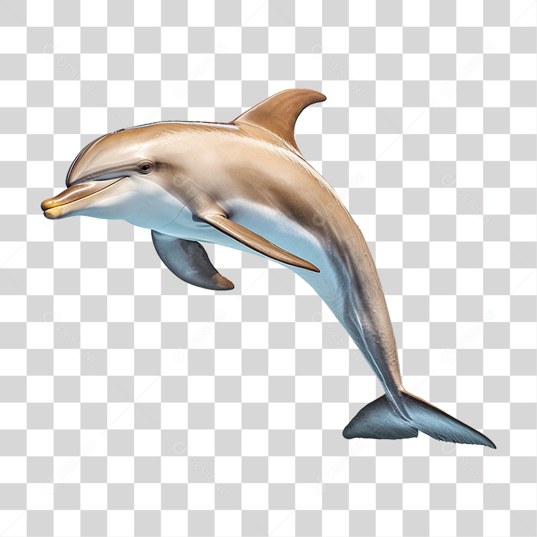 Golfinho PNG Transparente