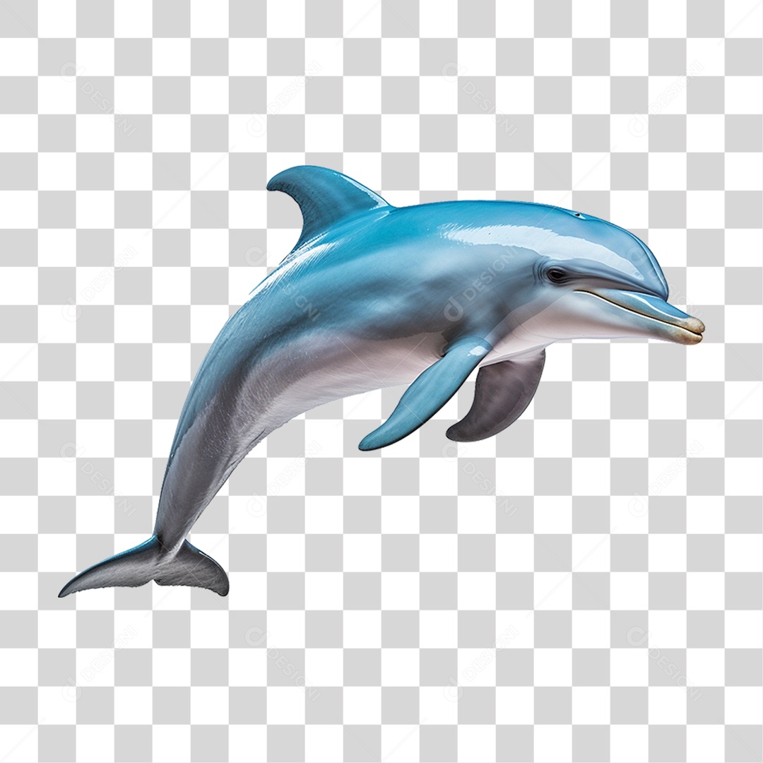 Golfinho PNG Transparente