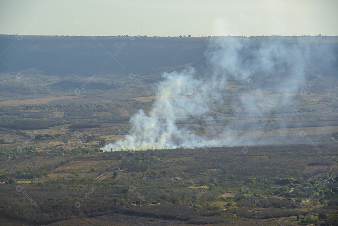 Fogo e queimadas no bioma Caatinga brasileiro