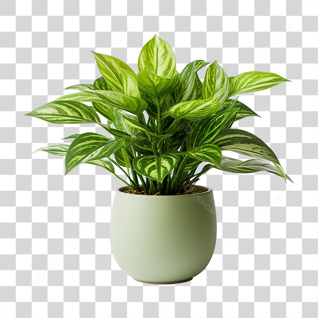 Planta em Vaso PNG Transparente