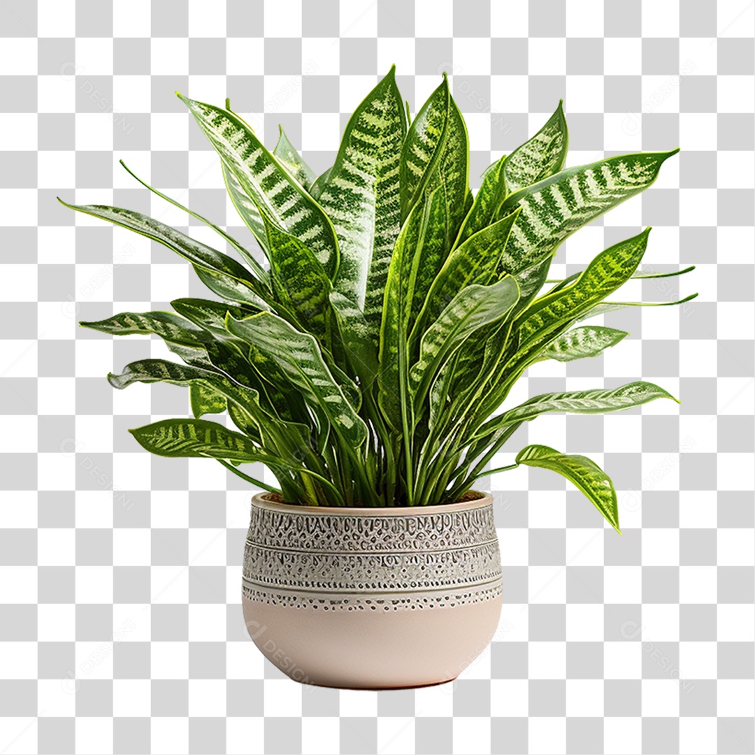 Planta em Vaso PNG Transparente