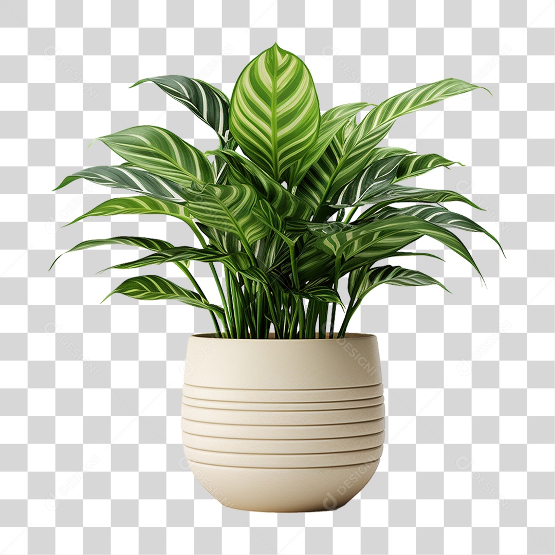 Planta em Vaso PNG Transparente
