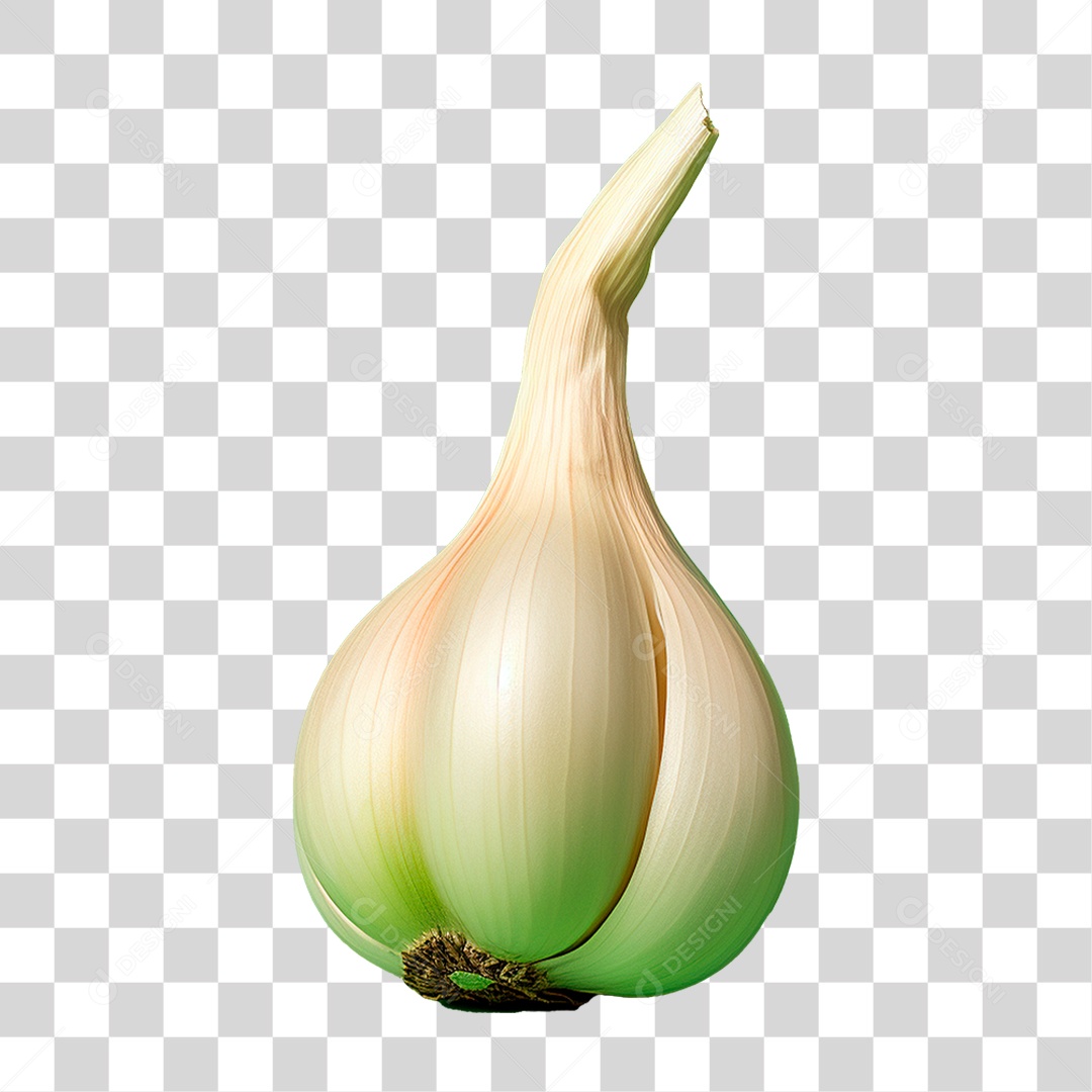 Dente de Alhos PNG Transparente