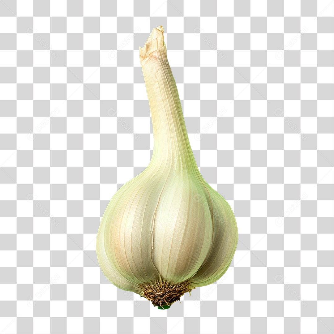 Dente de Alhos PNG Transparente