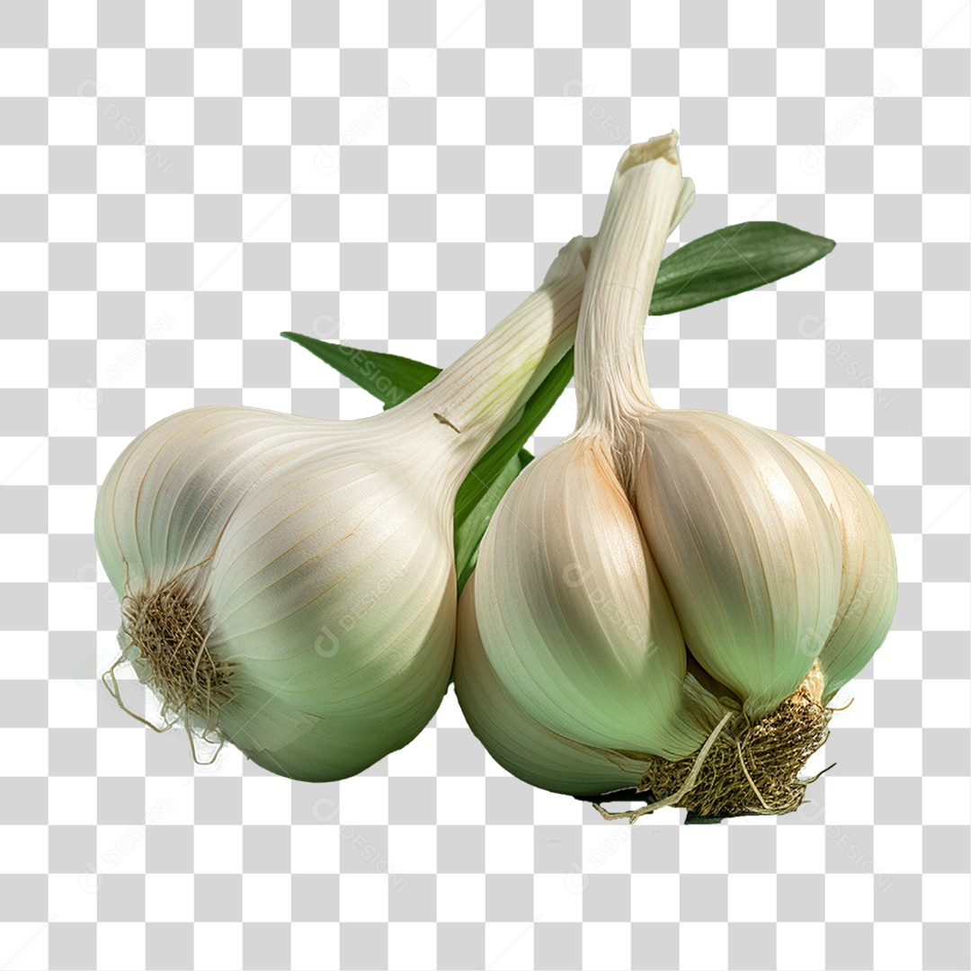 Alho Tempero PNG Transparente