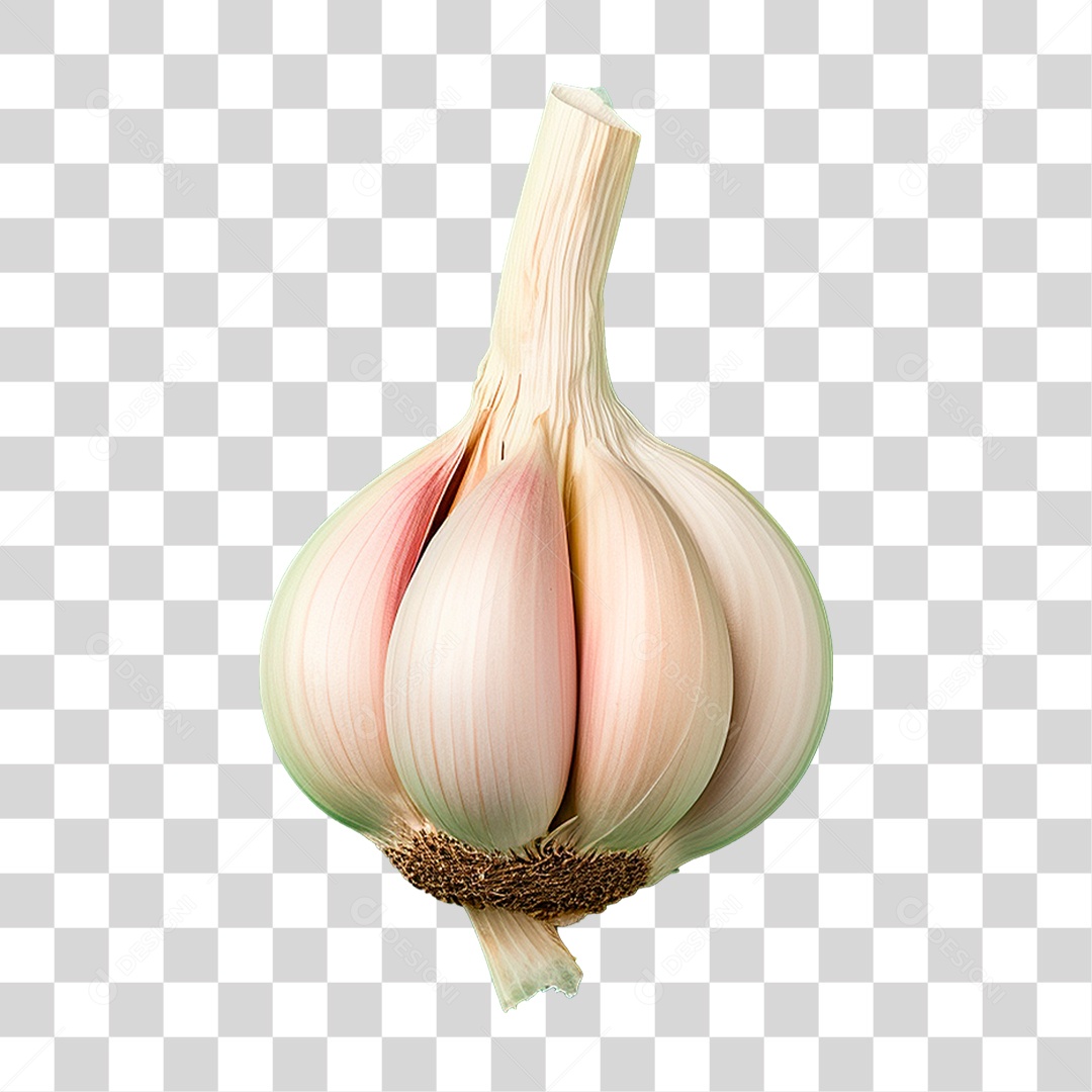 Dente de Alhos PNG Transparente