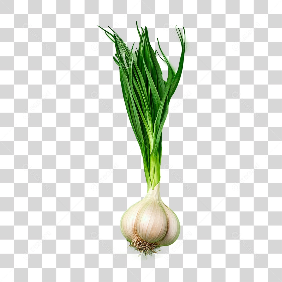 Dente de Alhos PNG Transparente