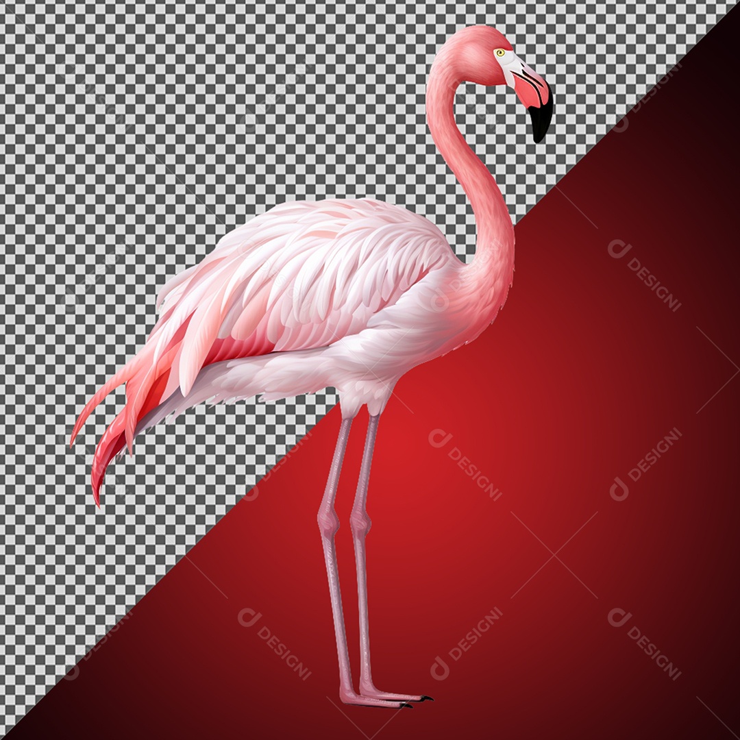 Elemento 3D Flamingo Ave para Composição PSD