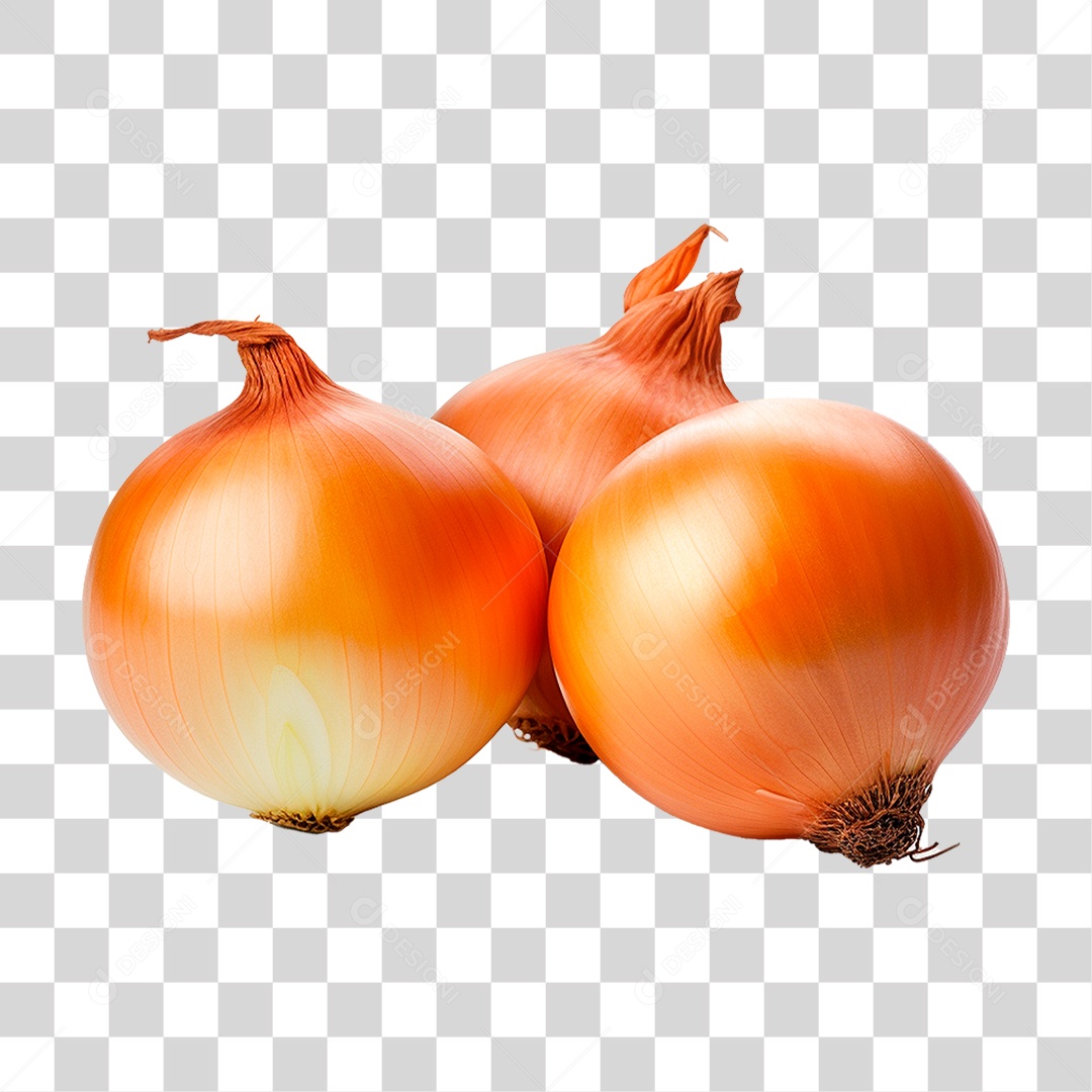 Cebola PNG Transparente