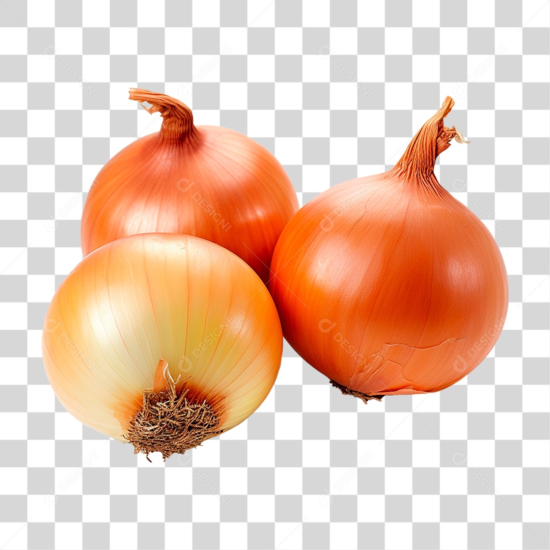 Cebola PNG Transparente