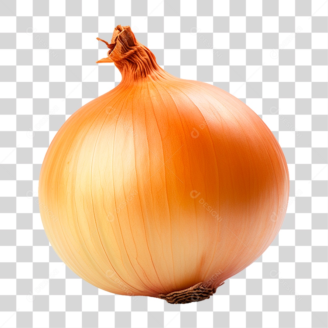 Cebola PNG Transparente