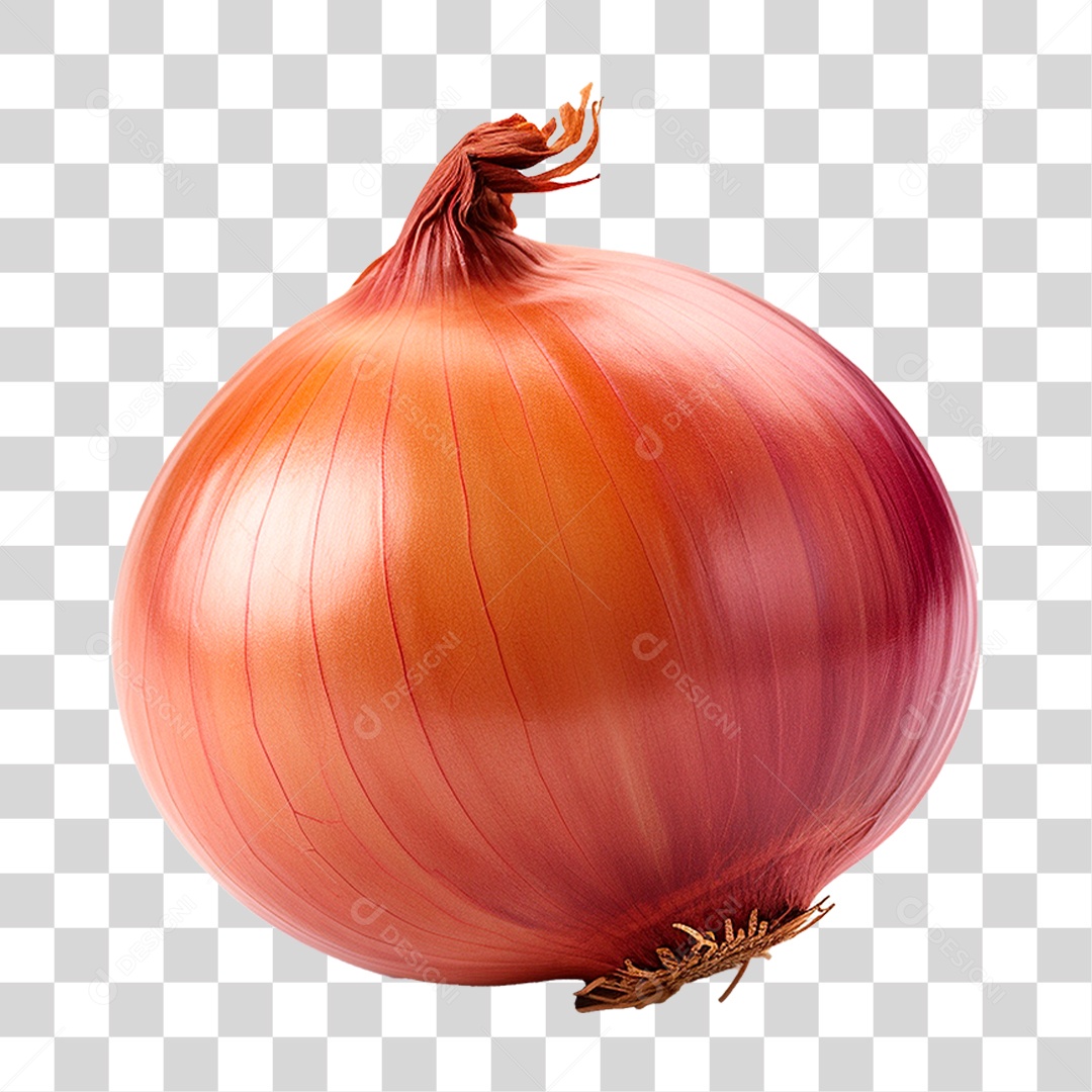Cebola PNG Transparente