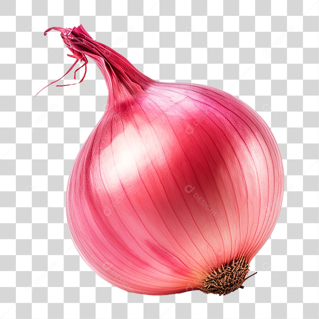 Cebola Roxa PNG Transparente