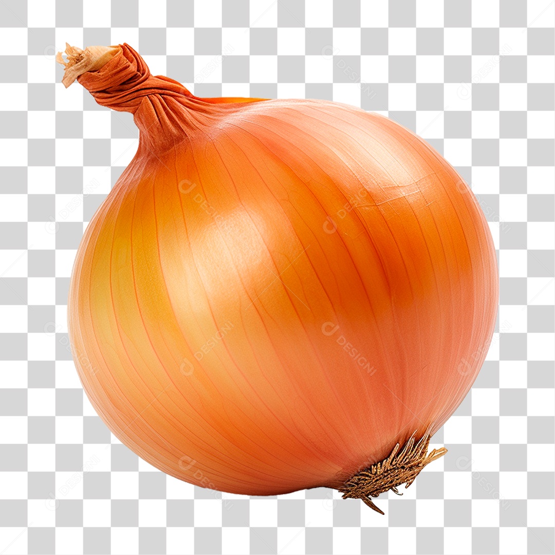 Cebola PNG Transparente