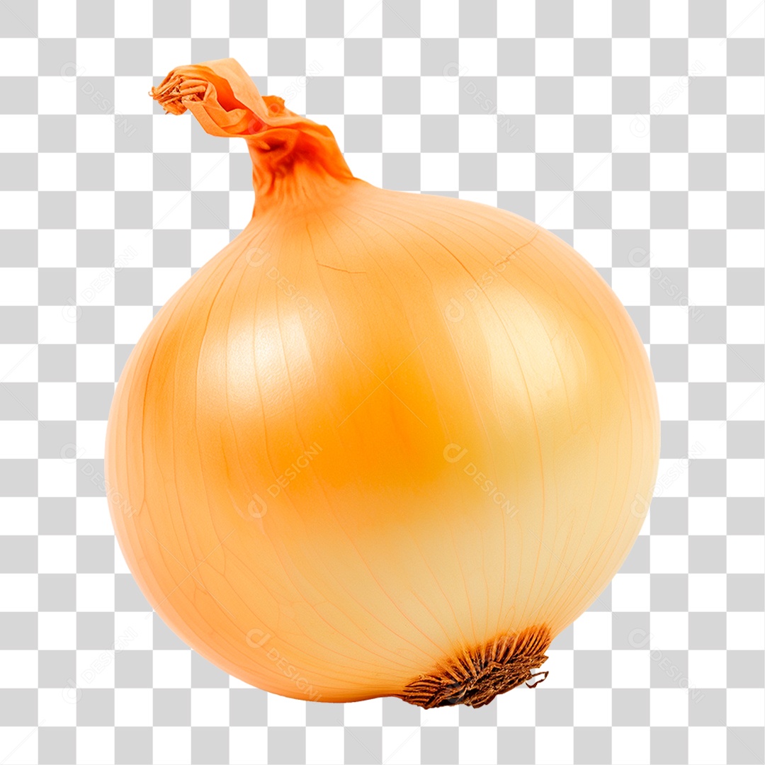 Cebola PNG Transparente