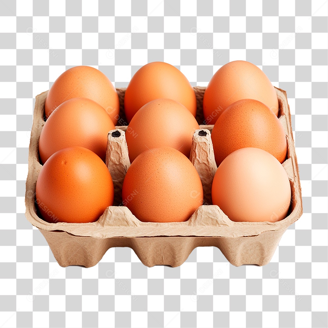 Cartela de Ovos PNG Transparente