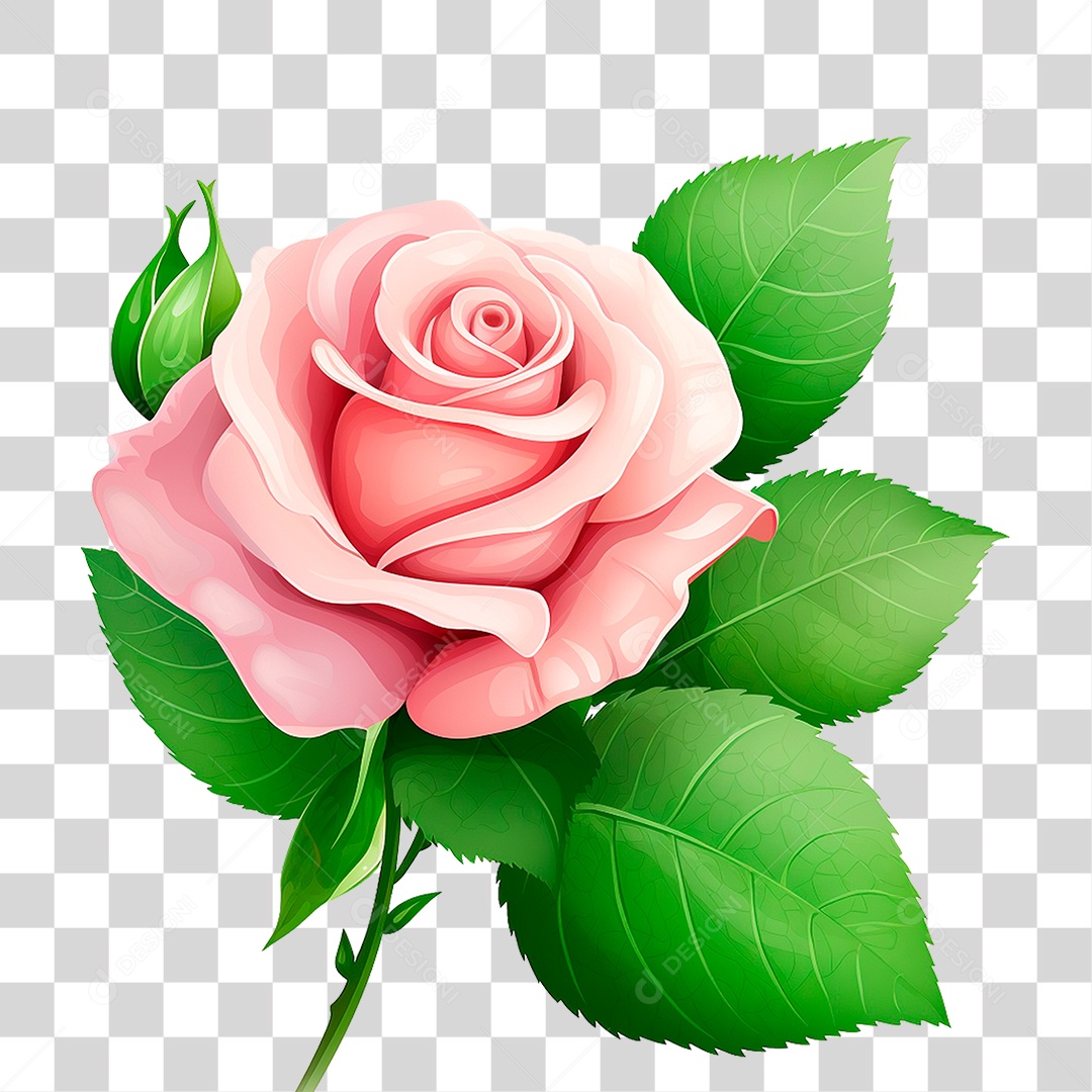 Pink Transparent PNG