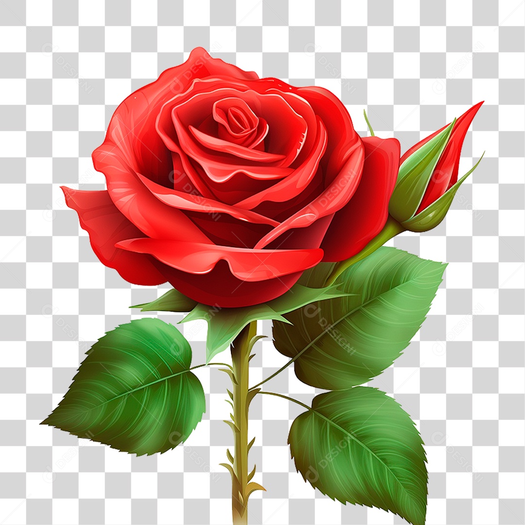 Rosa Vermelha PNG Transparente