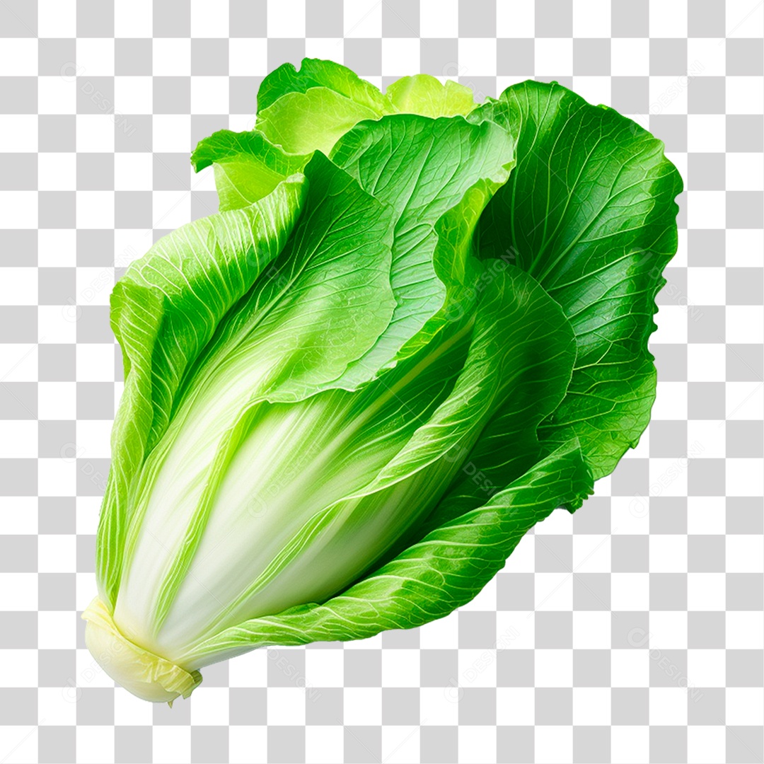Folhas de Alface PNG Transparente